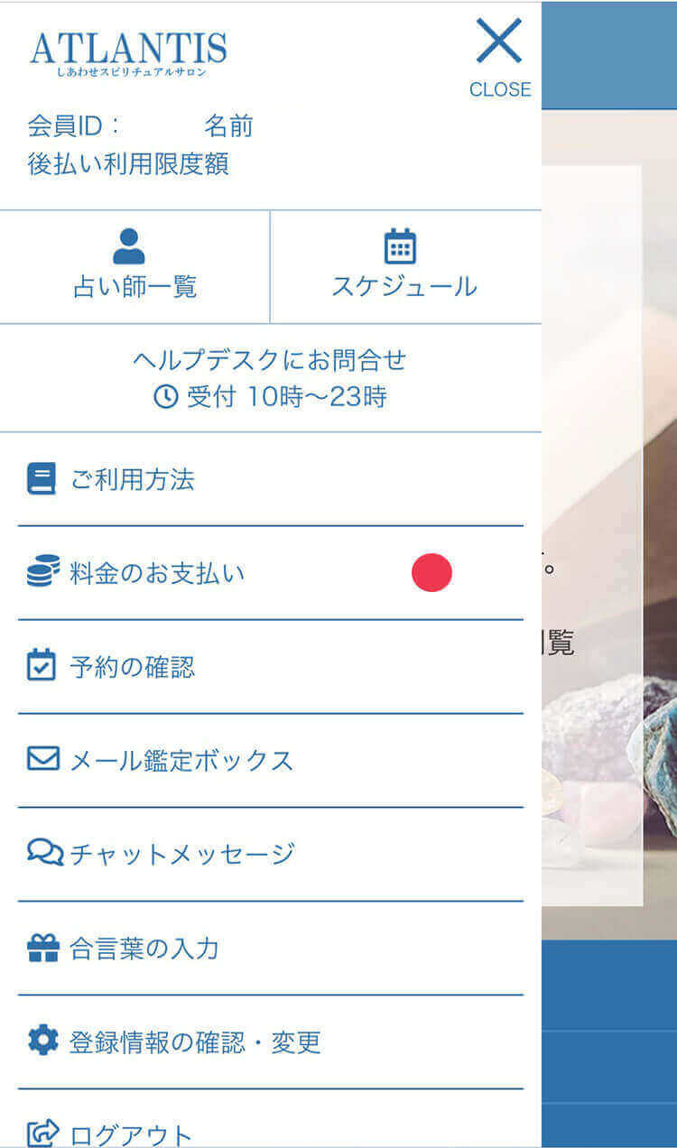 お支払いページ