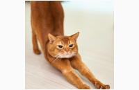 努力しても報われない日は、方向が変わるサイン