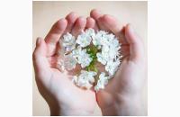 愛されることを怖がっていませんか？