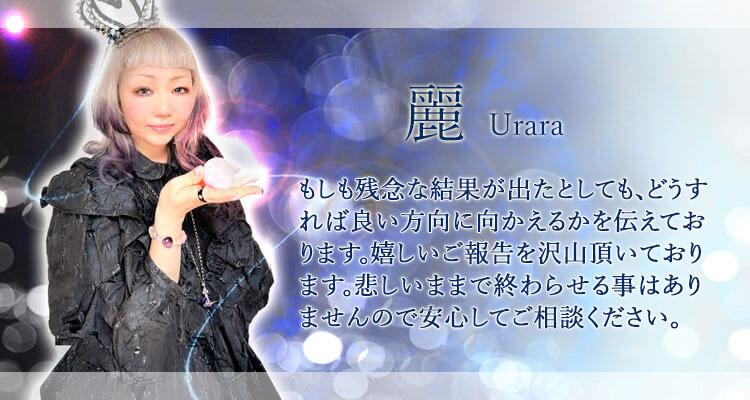 麗先生デビューのお知らせ